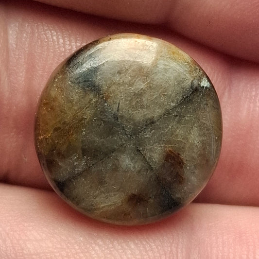 Cabochon Chiastolite