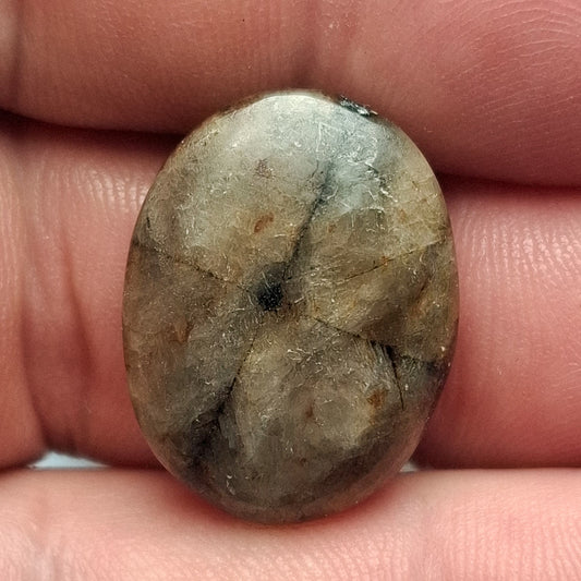 Cabochon Chiastolite