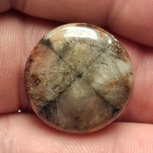 Cabochon Chiastolite