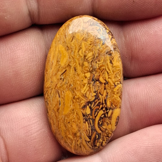 Cabochon Jaspe Mariam