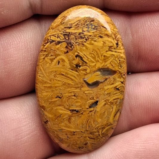 Cabochon Jaspe Mariam
