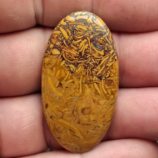 Cabochon Jaspe Mariam