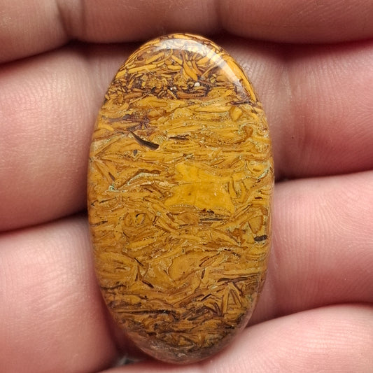 Cabochon Jaspe Mariam