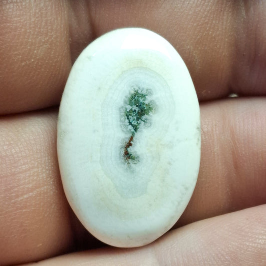 Cabochon Quartz Agatisé (Solar Quartz)