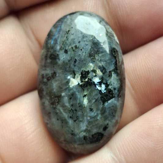 Cabochon Larvikite