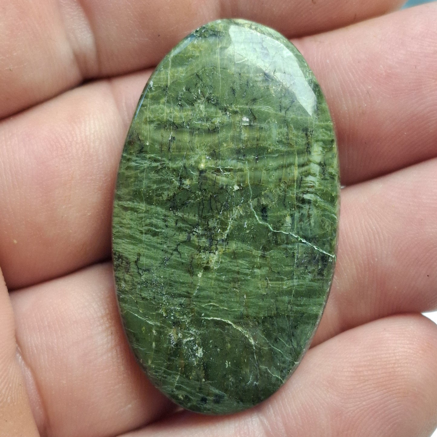 Cabochon Serpentine "Arizona Pietersite"
