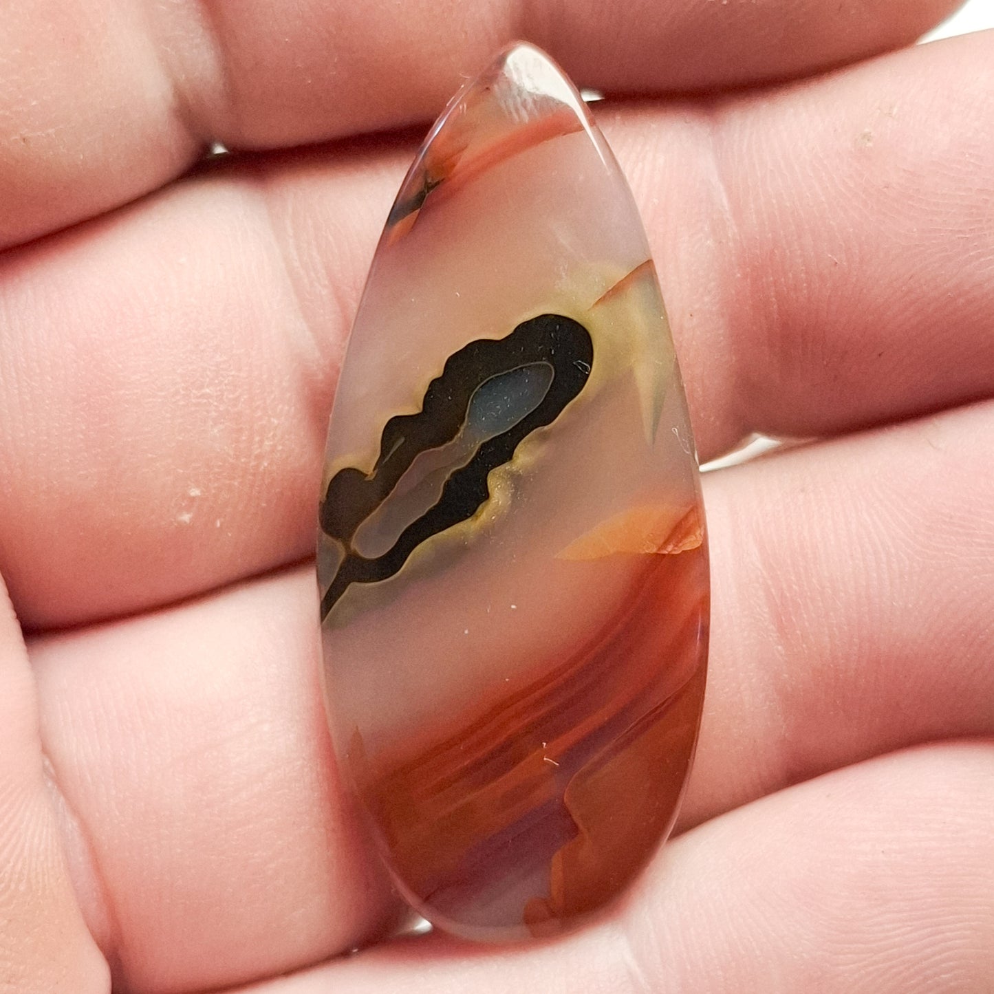 Agate Montana