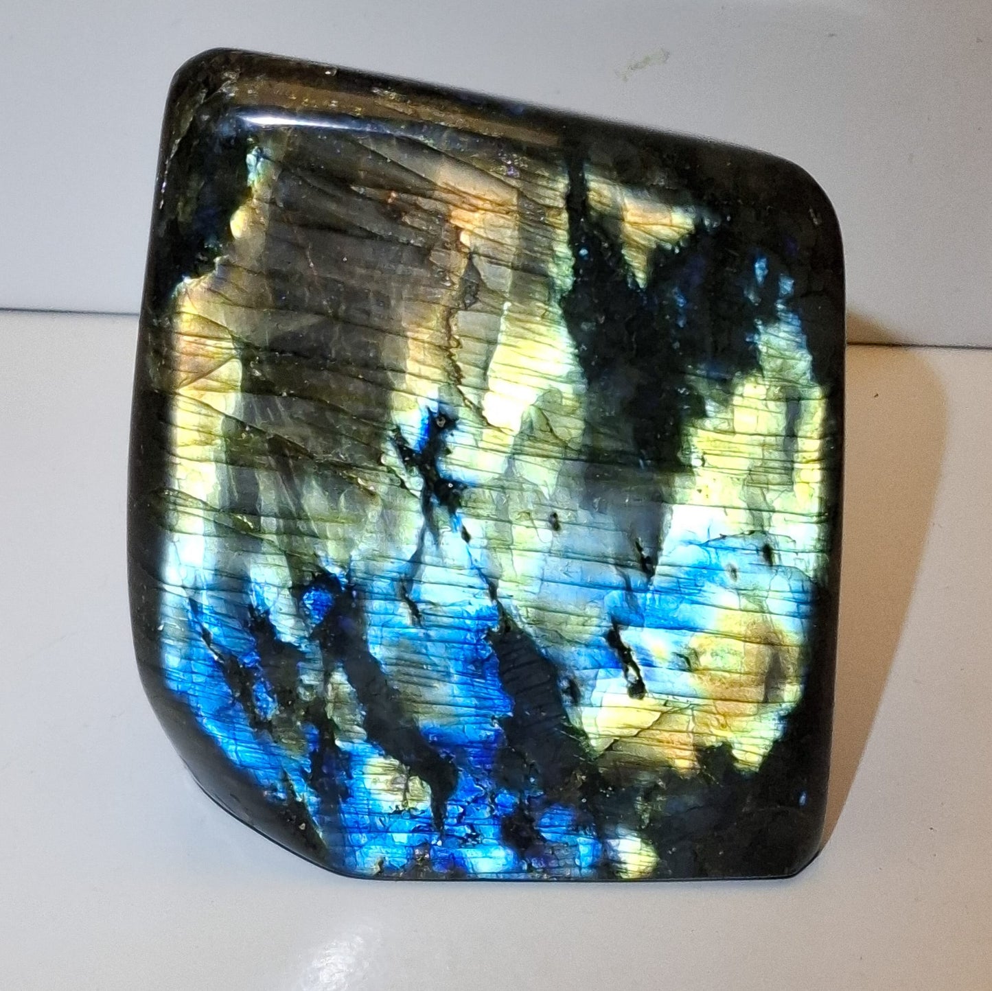 Labradorite forme libre polie