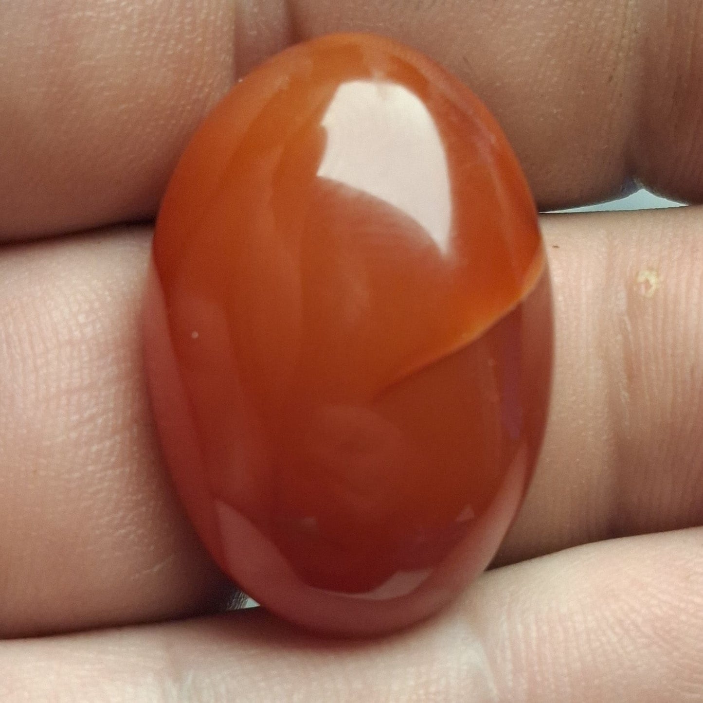Cabochon Cornaline