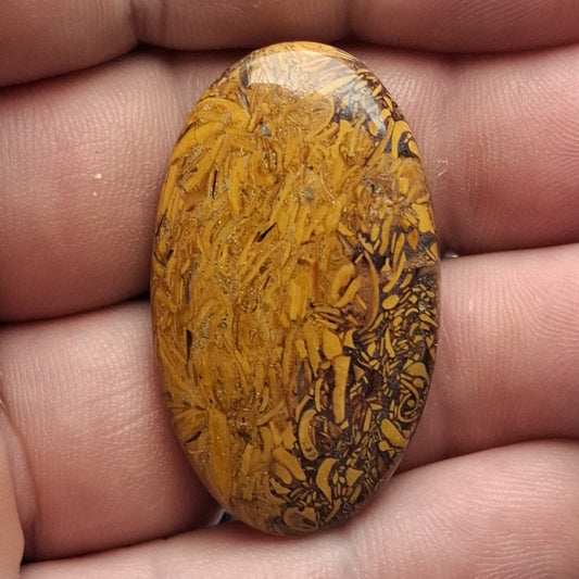 Cabochon Jaspe Mariam