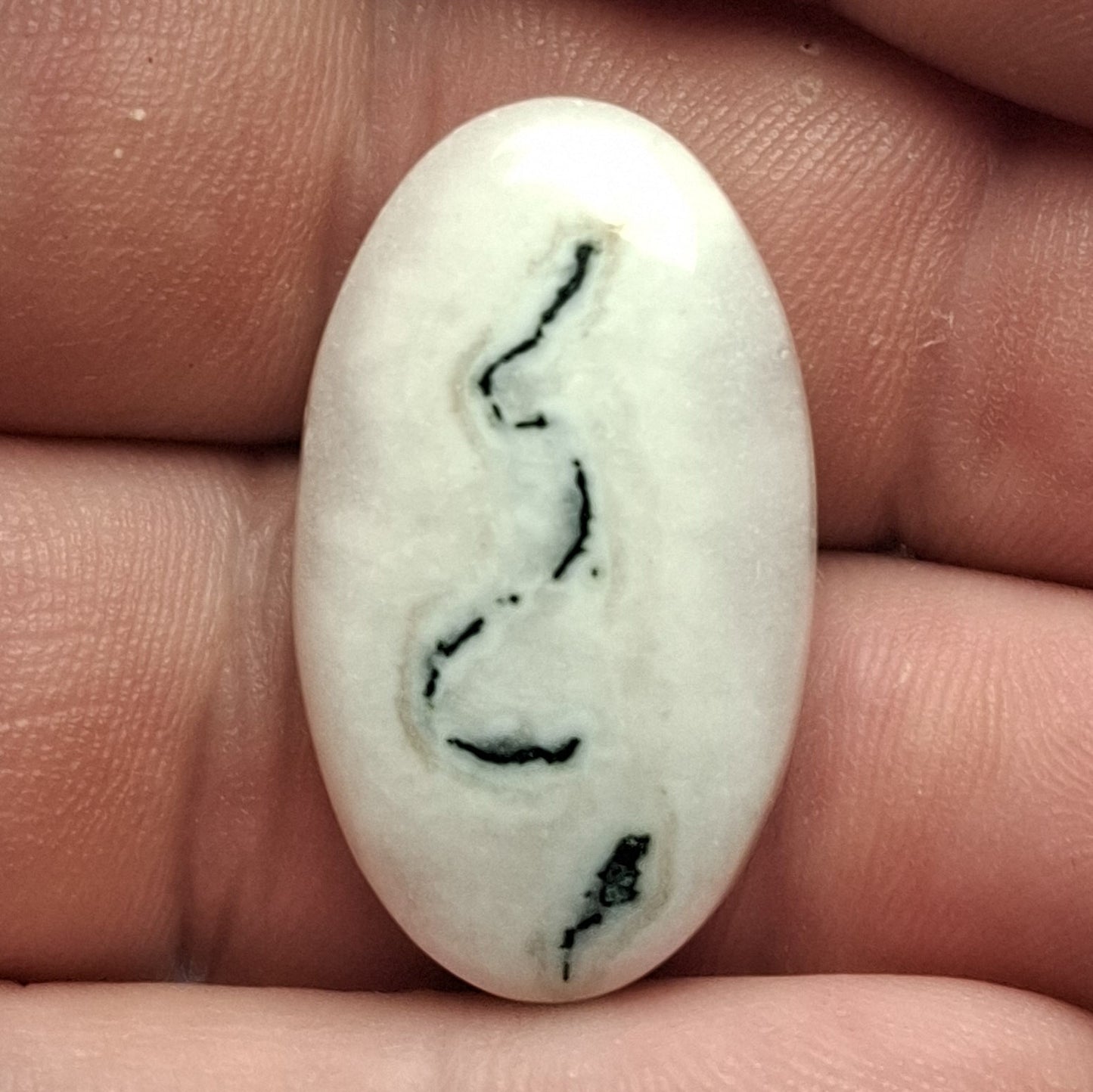 Cabochon Quartz Agatisé (Solar Quartz)